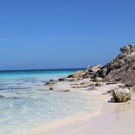 Hermoso Studio Con Alberca Zona Hoteles Cancun แคนคูน ภายนอก รูปภาพ